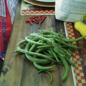 Meet your Posher, Shirley